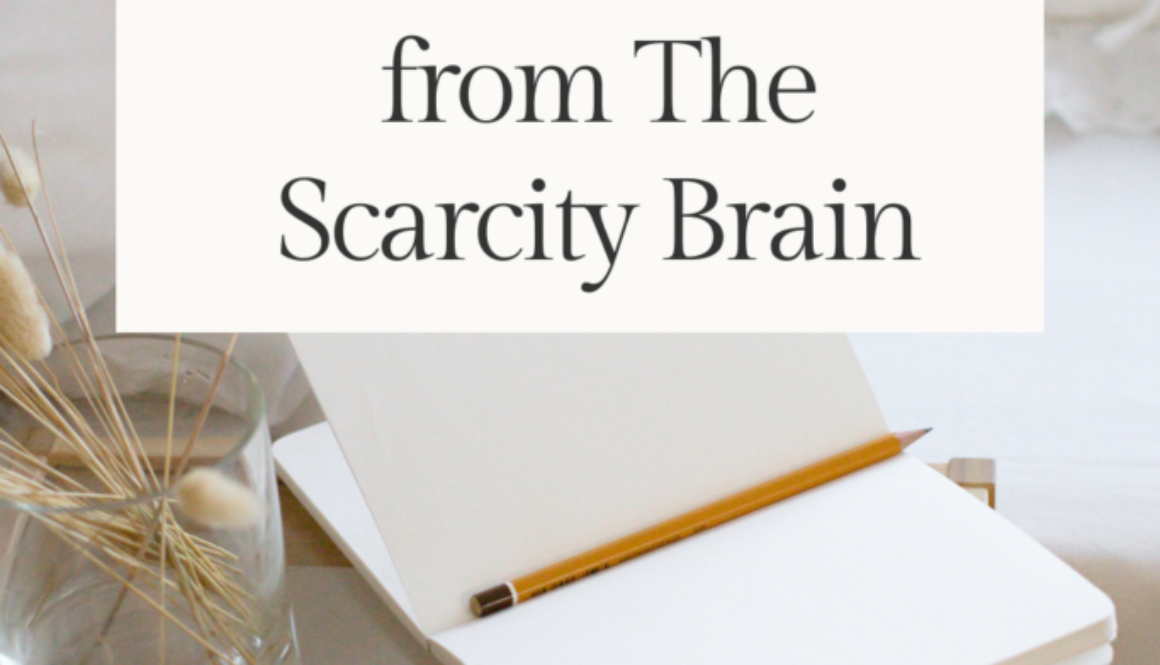 Why We Always Want More Lessons from The Scarcity Brain